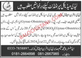 It is the Lady Dufferin Hospital Jobs in Quetta 2024 Official Advertisement. 