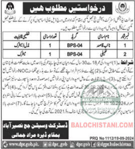 District and Session Judge Naseerabad Jobs 2024 Advertisement