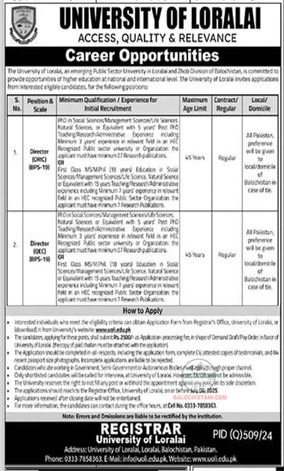 University of loralai Jobs 2025 Advertisement