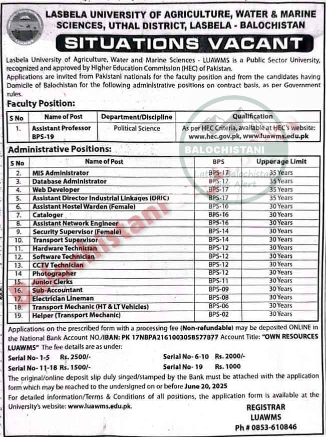 Lasbela University of Agriculture LUAWMS Jobs 2025