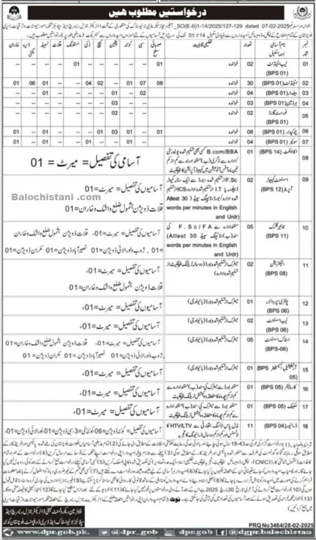 Livestock and Dairy Development Balochistan Jobs 2025