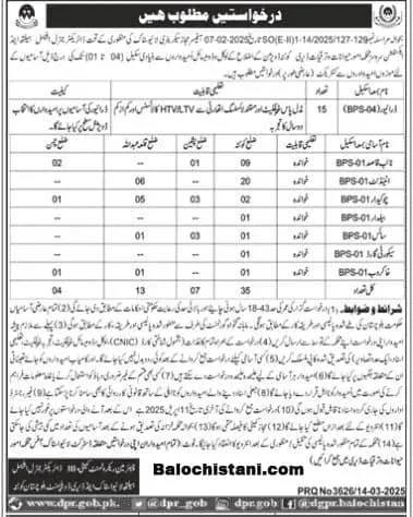 Livestock and Dairy Development Balochistan Jobs