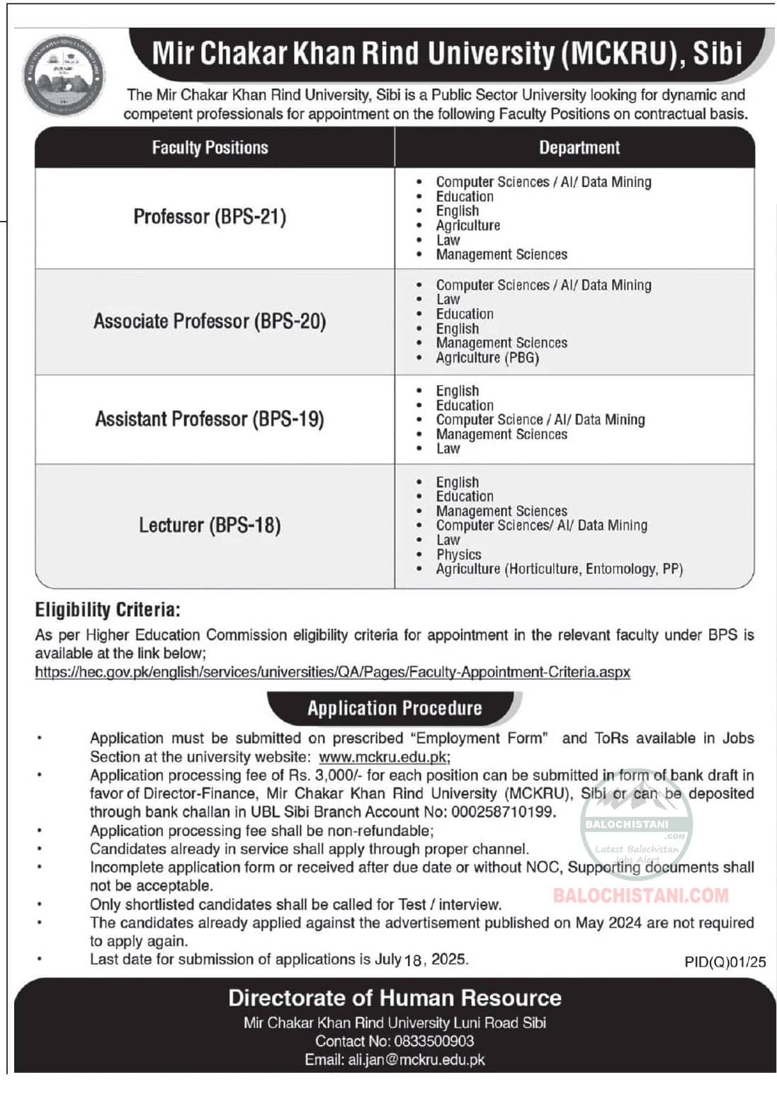 Mir Chakar Khan Rind University Jobs 2025 Advertisement