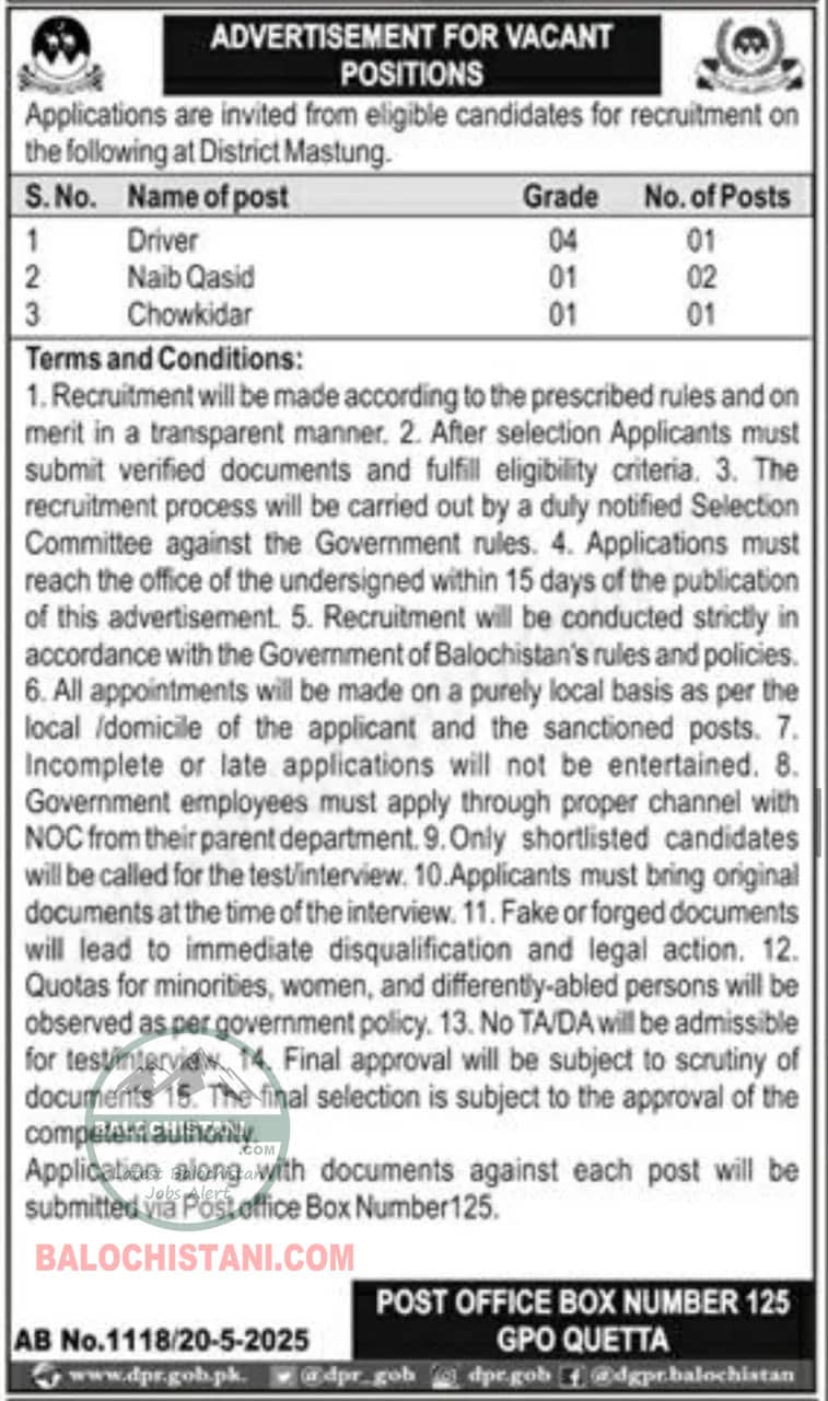 Public Sector Organization Mastung Jobs 2025