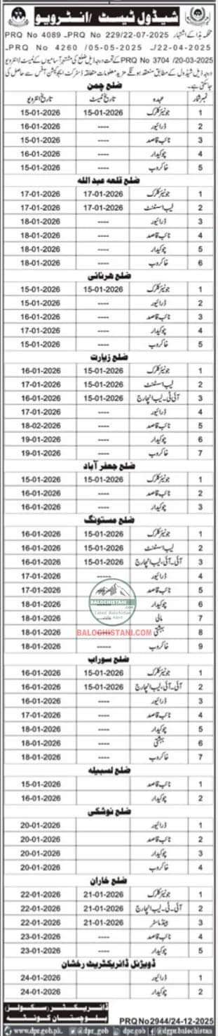 School Education Department Balochistan Test Interview 2025 Advertisement