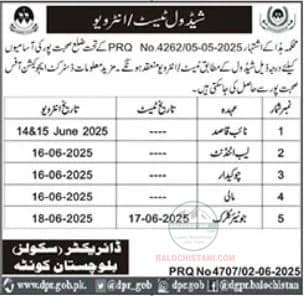 School Education Department Sohbatpur Test Interview 2025 Advertisement