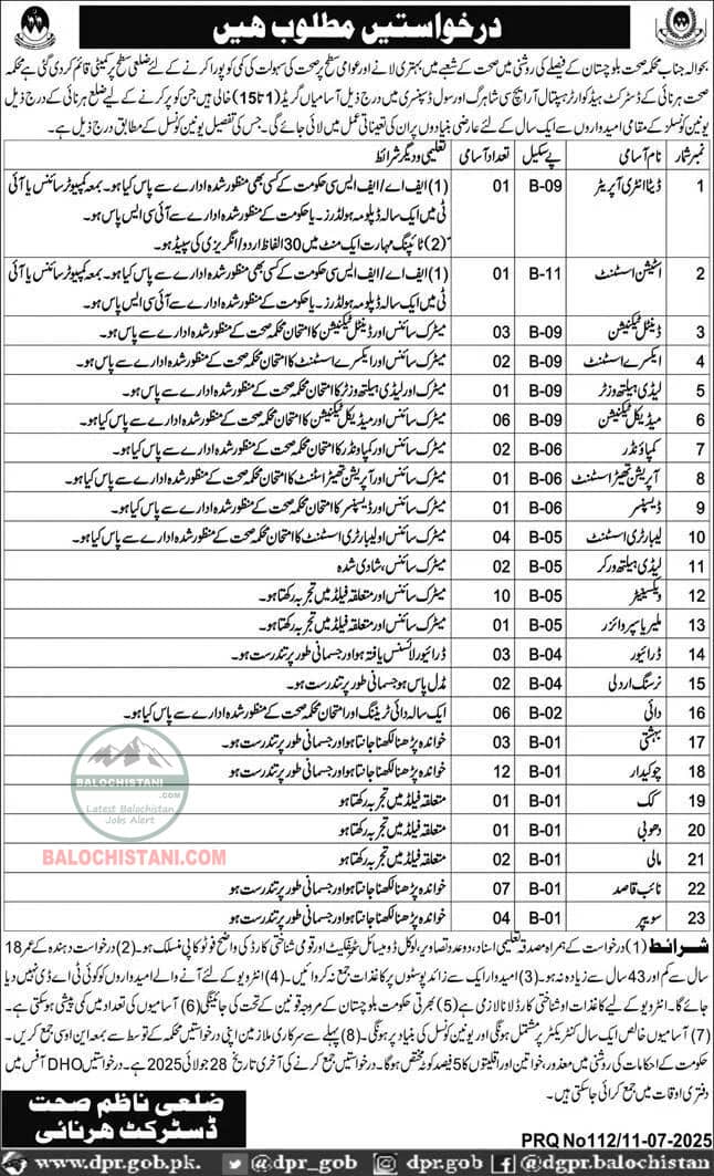 District Headquarter Hospital DHQ Harnai Jobs 2025 Advertisement