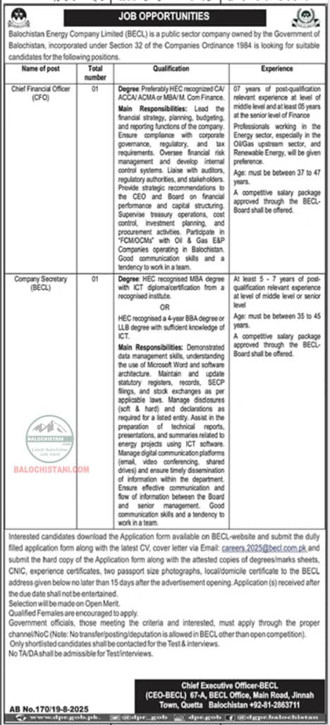 Balochistan Energy Company Limited Jobs 2025 Advertisement