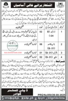 Deputy Commissioner Office Gwadar Jobs 2025 Advertisement