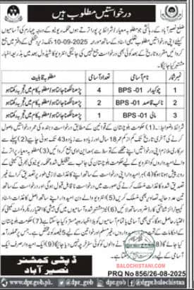 Deputy Commissioner Office Naseerabad Jobs 2025 Advertisement
