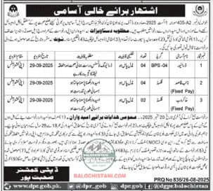 Deputy Commissioner Office Sohbatpur Jobs 2025 Advertisement