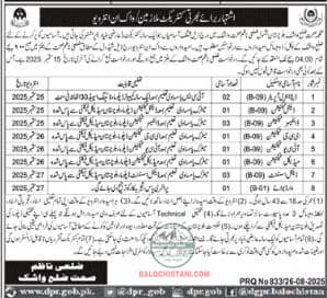 Health Department Washuk Balochistan Jobs 2025 Advertisement
