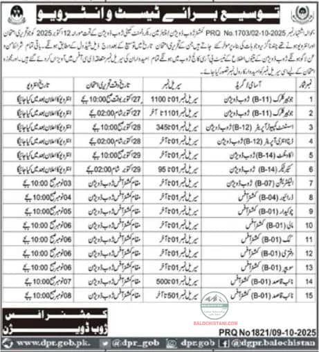 Commissioner Zhob Division Jobs Test & Interview Schedule 2025 Advertisement