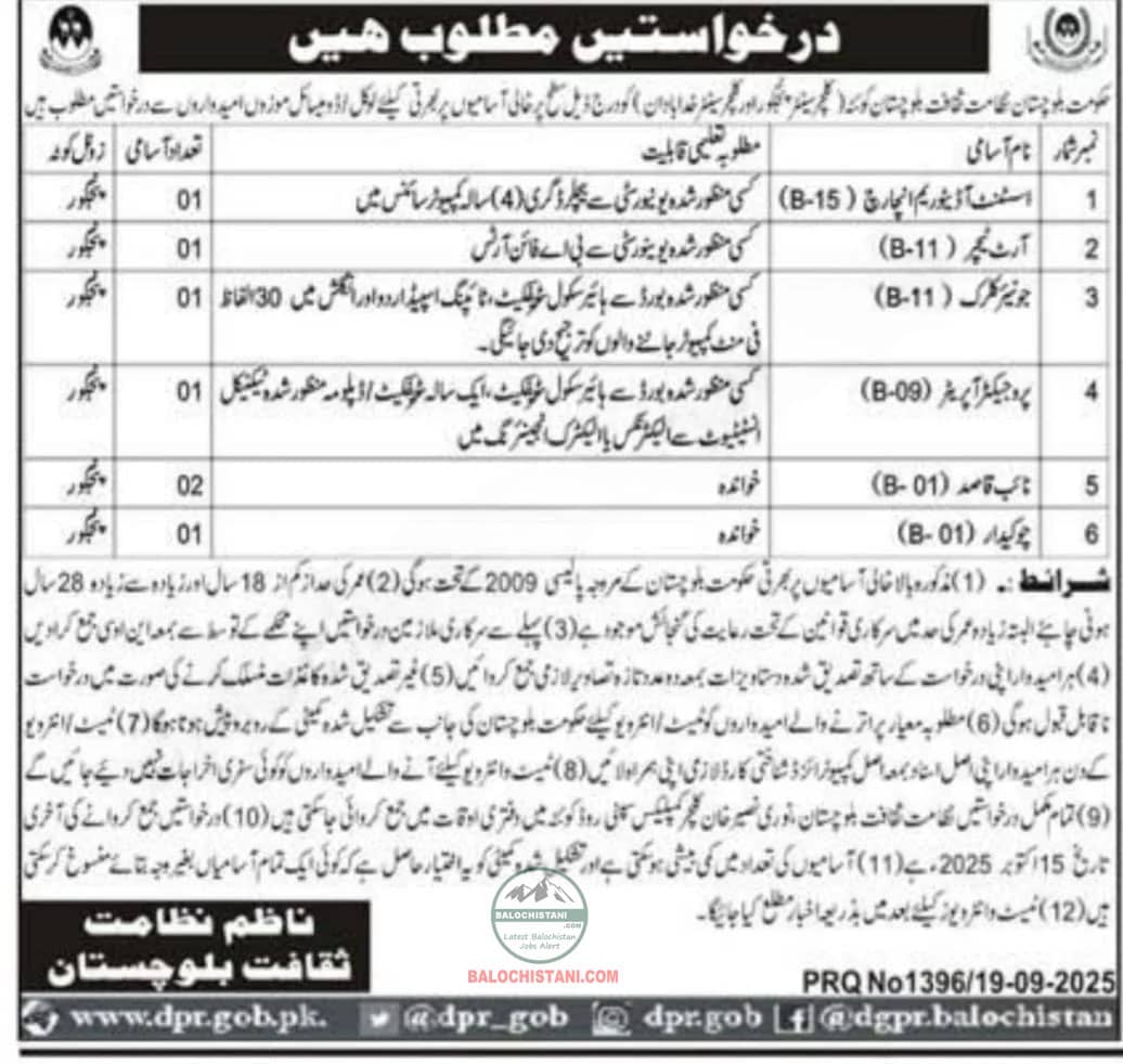Culture Department Panjgur Balochistan Jobs 2025 Advertisement