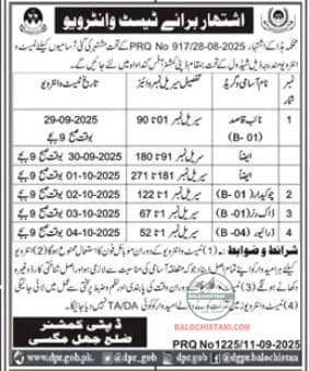 Deputy Commissioner Jhal Magsi Interview 2025 Avertisement