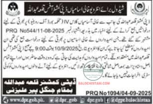Deputy Commissioner Killa Abdullah Test Interview Schedule 2025 Advertisement