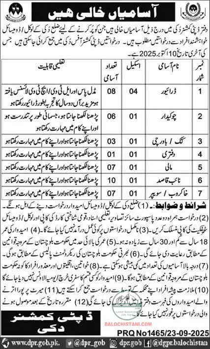 Deputy Commissioner Office Duki Jobs 2025 Advertisement 
