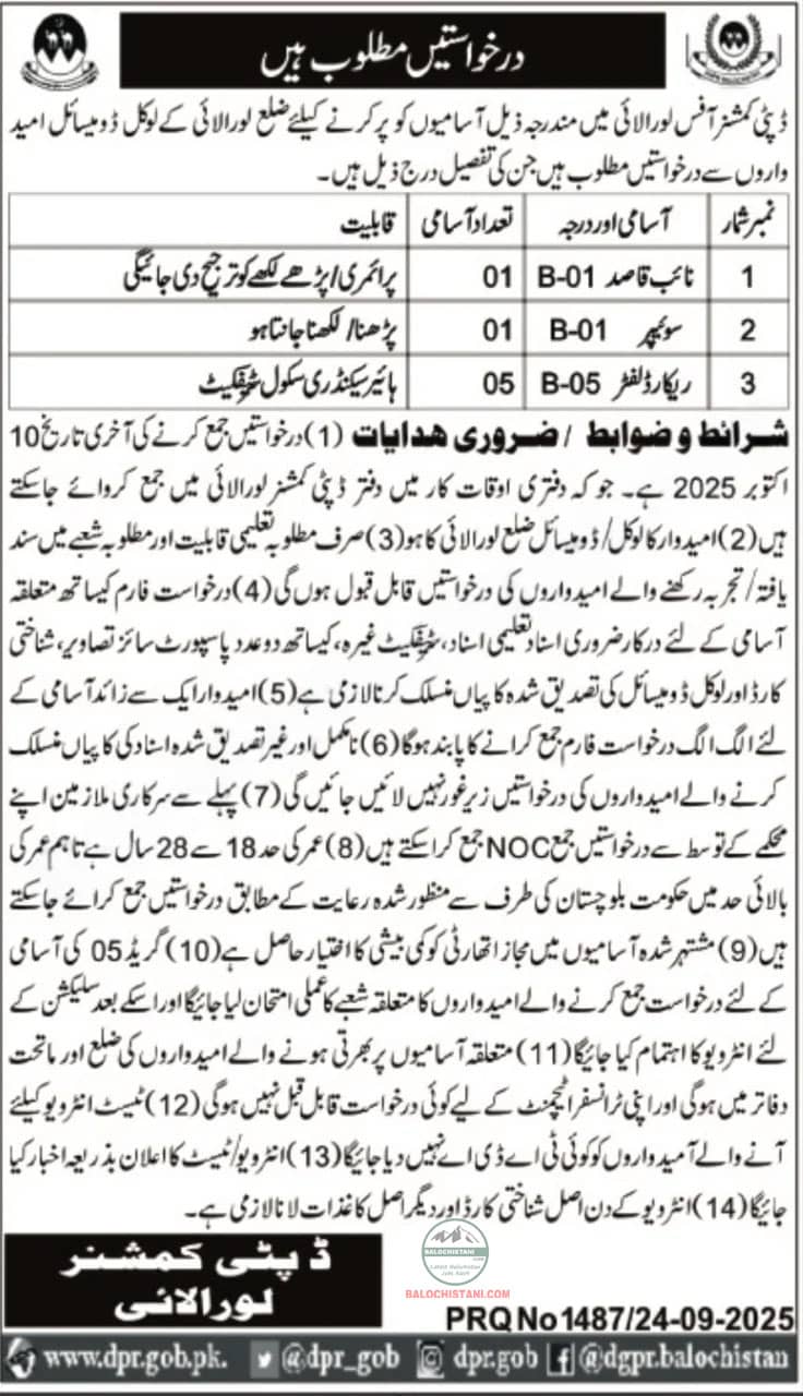 Deputy Commissioner Office Loralai Jobs 2025 Advertisement 