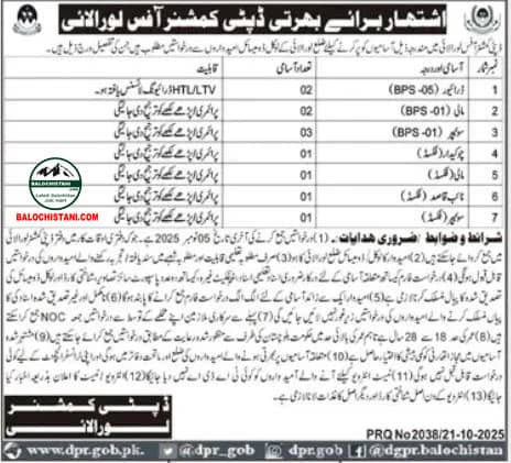 Deputy Commissioner Office Loralai Jobs 2025