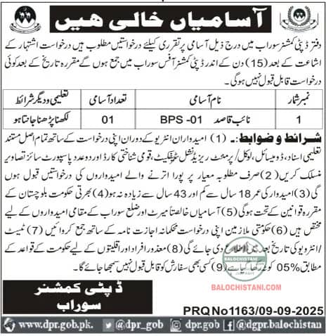 Deputy Commissioner Office Surab Jobs 2025 Advertisement