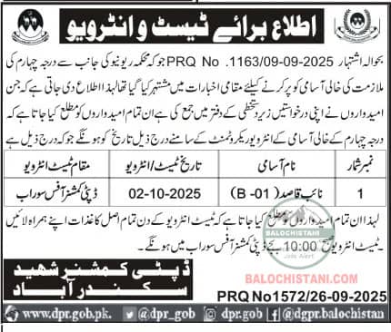 Deputy Commissioner Shaheed Sikandarabad Interview Schedule 2025 Advertisement