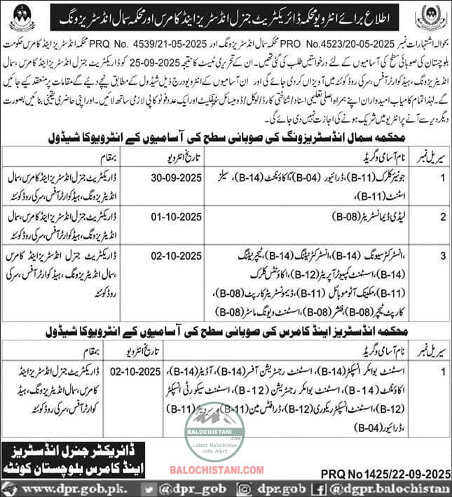 Official Advertisement of Small Industries Balochistan Test Interview 2025