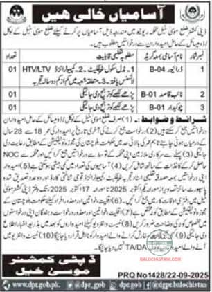 Revenue Department Musa Khel Jobs 2025 Advertisement 