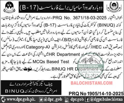 Balochistan Institute of Nephrology Urology BINUQ Jobs 2025 Advertisement