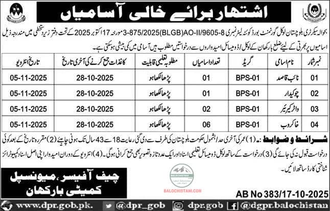 Municipal Committee MC Barkhan Jobs 2025 Advertisement