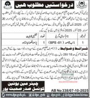 Union Council Sohbatpur Jobs 2025 Advertisemet