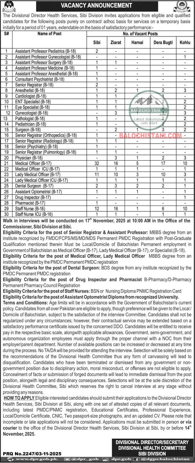 Health Department Sibi Division Jobs 2025 Advertisement