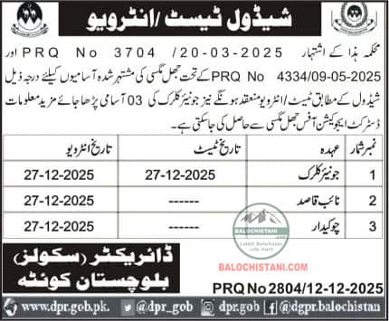 Education Department Jhal Magsi Test and Interviews 2025 Official Advertisement