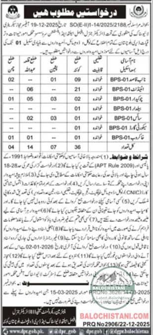 Livestock and Dairy Development Balochistan Jobs 2026