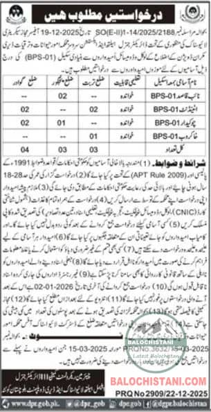 Livestock and Dairy Development Makran Jobs 2026 Official Advertisement