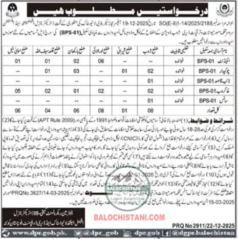Livestock and Dairy Development Zhob Jobs 2026 Official Advertisement